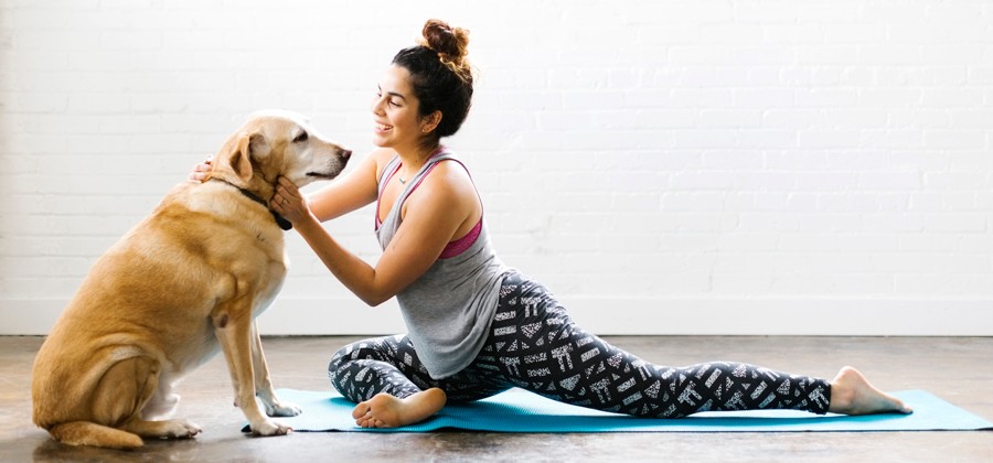 Young woman stretching with dog